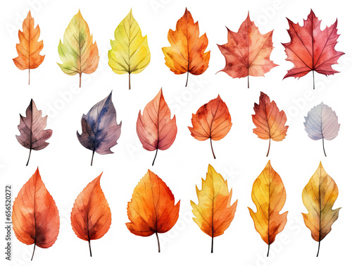Watercolor painting of autumn leaves in different shapes and sizes, including maple, oak, and birch leaves in vibrant shades of red, orange, yellow, and brown, arranged on a white background.