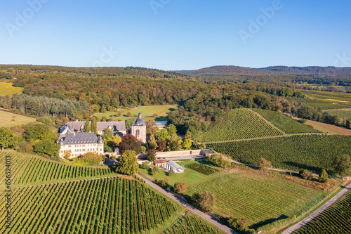 Bird's eye view of Vollrads Castle in the middle of vineyards near Oestrich-Winkel/Germany in the Rheingau in autumn photo