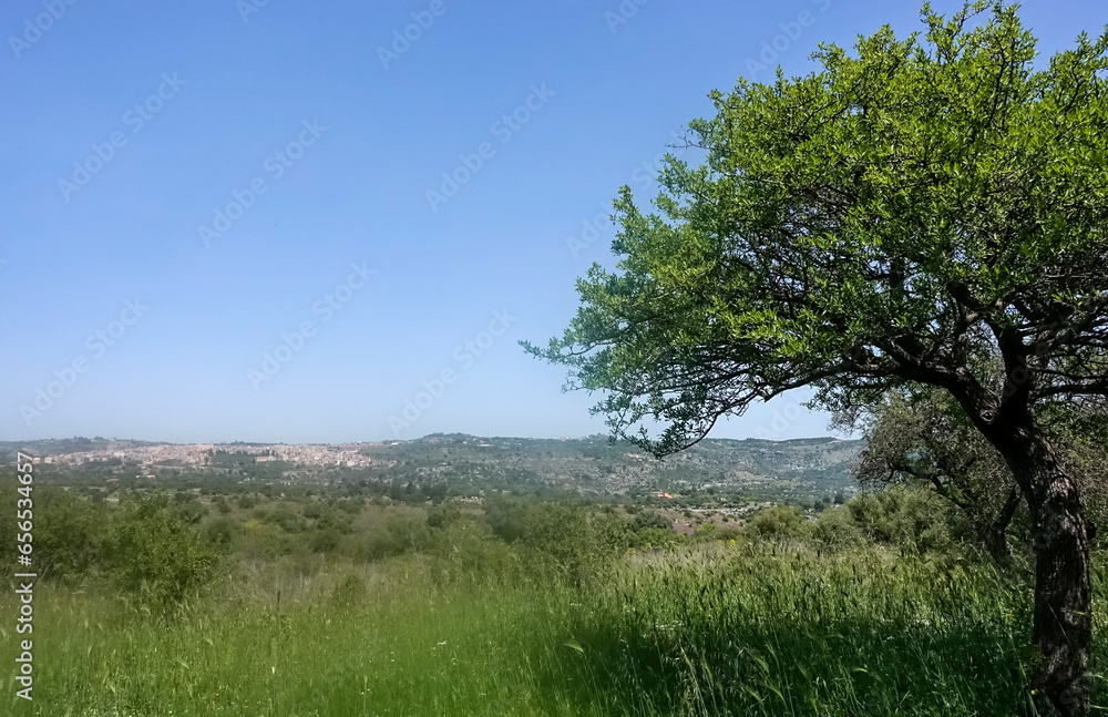 Paesaggio con alberi verdi e cielo azzurro anaktoron di pantalica 9072 Paesaggio con alberi verdi e cielo azzurro anaktoron di pantalica 9072