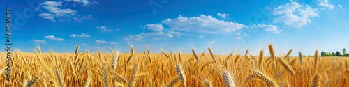 Yellow wheat field on the background of clouds and blue sky. Generated by AI.