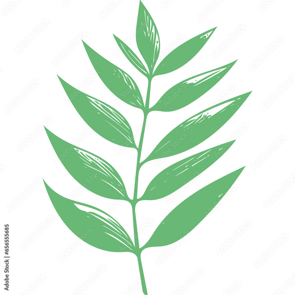 green leaf isolated on white background green leaf isolated on white background