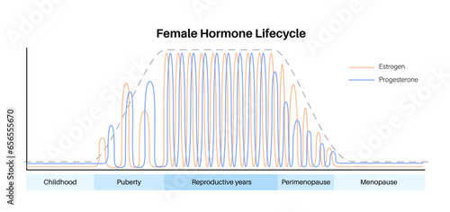 Hormones in pregnancy