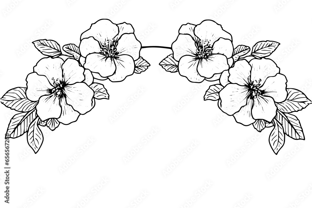 Hibiscus flower border hand drawn ink sketch. Engraved style vector illustration Hibiscus flower border hand drawn ink sketch. Engraved style vector illustration