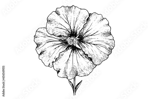 Hibiscus flower hand drawn ink sketch. Engraved style vector illustration