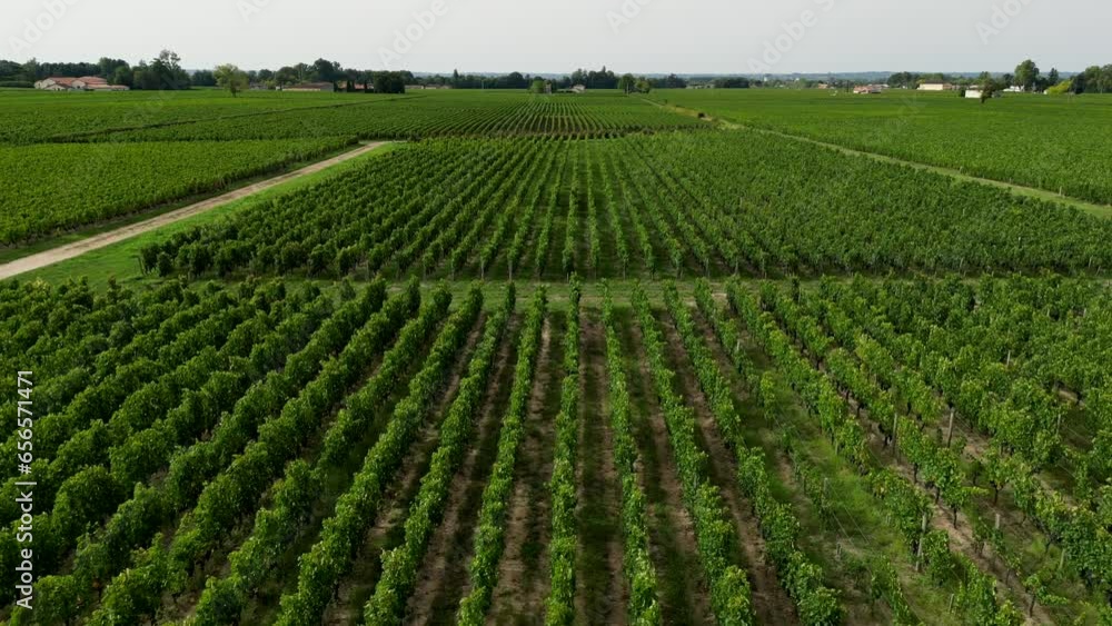 Aerial view of Pomerol wine making commune in Nouvelle Aquitaine France with vineyard fields, High quality 4k footage Aerial view of Pomerol wine making commune in Nouvelle Aquitaine France with vineyard fields, High quality 4k footage