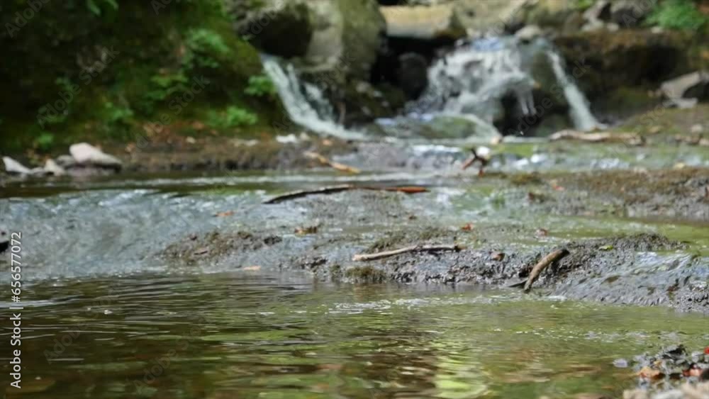 Aerial view, drone shot of a mountain creek with crystal clear mountain water, flying forward very low over rapids, High quality 4k footage Aerial view, drone shot of a mountain creek with crystal clear mountain water, flying forward very low over rapids, High quality 4k footage
