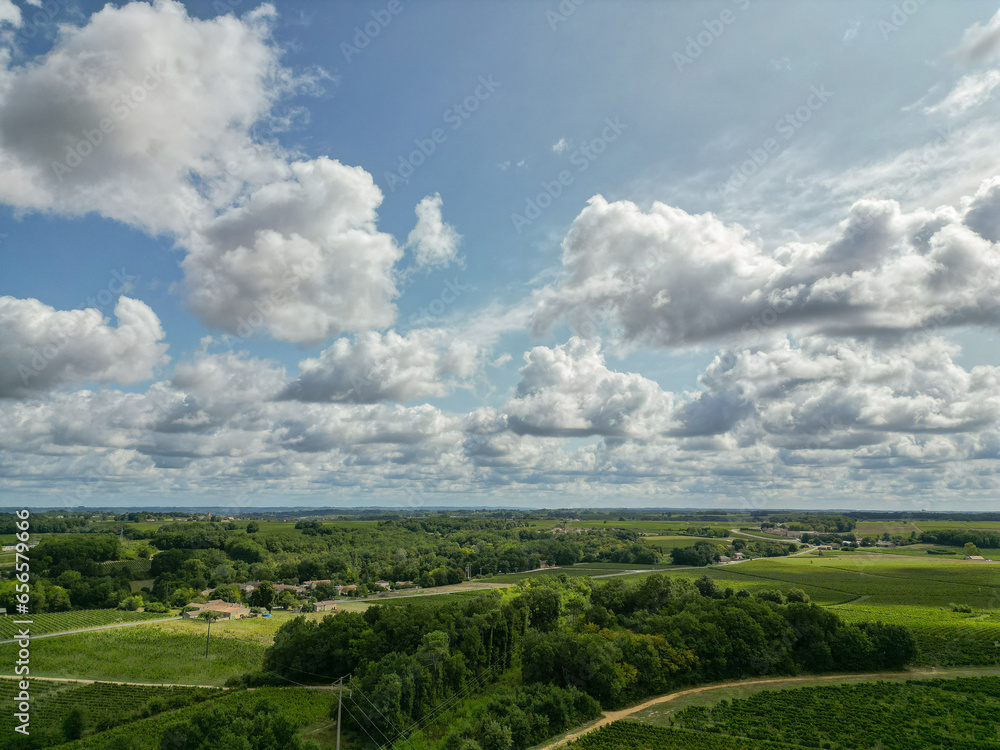 Aerial view Bordeaux Vineyard at sunrise, Entre deux mers, Gironde. High quality photo Aerial view Bordeaux Vineyard at sunrise, Entre deux mers, Gironde. High quality photo