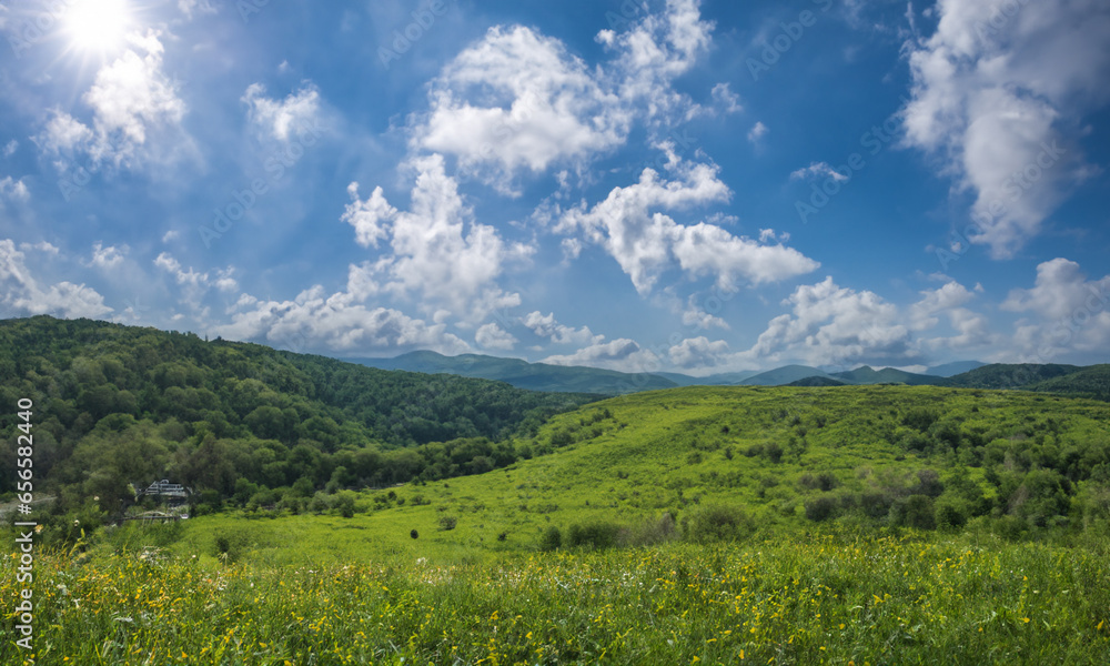 Nature's Canvas: A Panoramic Journey Through the Alps