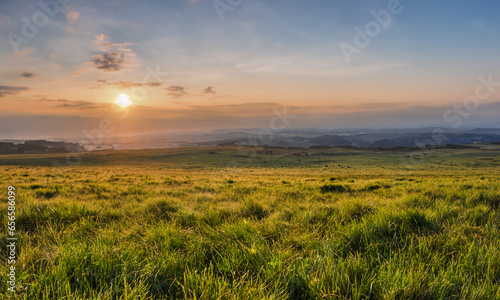 Golden Horizons  A Rural Landscape