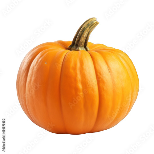 Isolated Pumpkin on Transparent Background