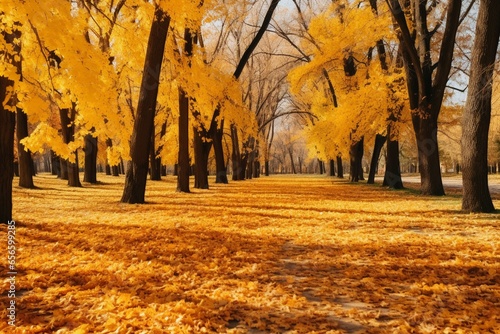 Vibrant Autumn Landscape  A Blanket of Yellow Leaves in a Sunny Natural Park