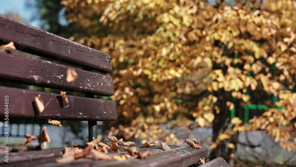 Natural sunlight autumn city park landscape with flying yellow dry foliage wooden bench slow motion Natural sunlight autumn city park landscape with flying yellow dry foliage wooden bench slow motion