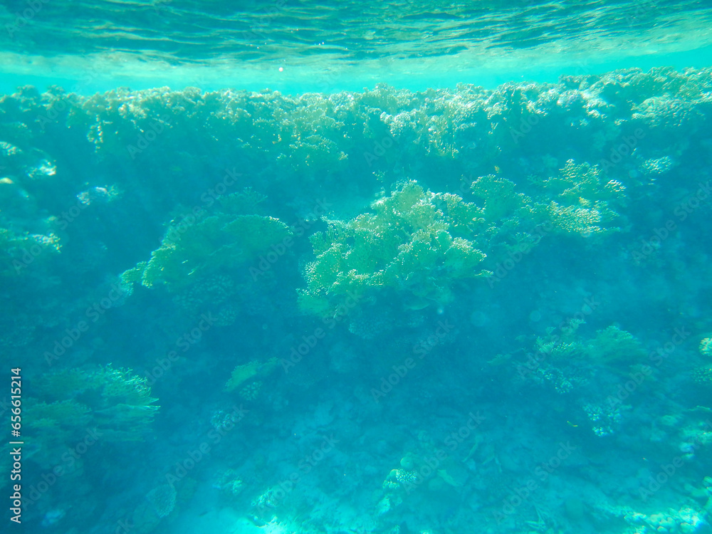 underwater real life underwater real life