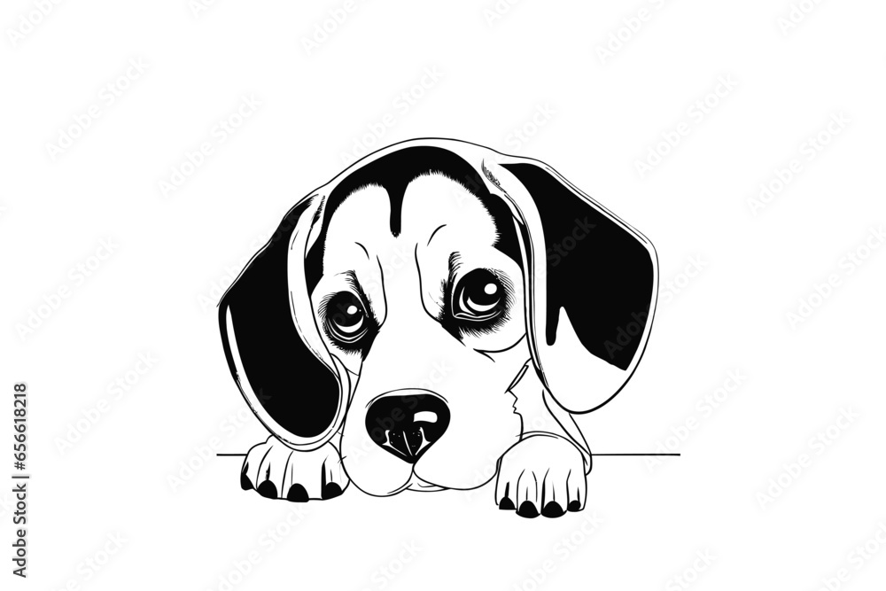 Playful Beagle Hide and Seek: A Charming Vector Rendering of a Beagle Pup Playfully Peeking Playful Beagle Hide and Seek: A Charming Vector Rendering of a Beagle Pup Playfully Peeking