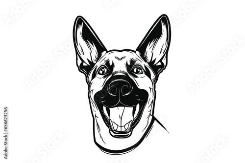 Majestic Belgian Malinois: A Detailed Vector Portrait of a Noble Canine