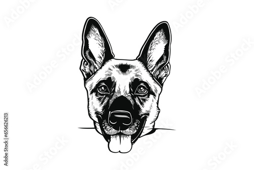 Playful Belgian Malinois Hide and Seek: A Charming Vector Rendering of a Peekaboo Pup