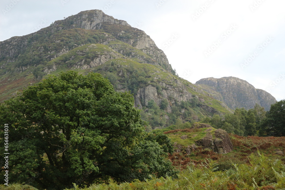 Obraz premium landscape in the mountains