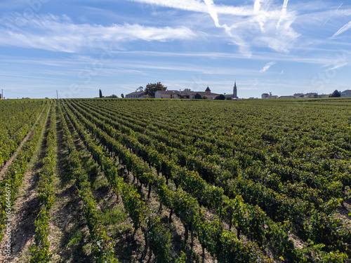 Aeriel view on rows of Merlot red grapes in Saint-Emilion wine making region in Pomerol, right bank in Bordeaux, ripe and ready to harvest Merlot or Cabernet Sauvignon red grapes, France