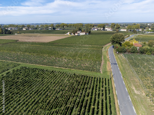 Aerial view on rows of Merlot red grapes in Saint-Emilion wine making region in Pomerol, right bank in Bordeaux, ripe and ready to harvest Merlot or Cabernet Sauvignon red grapes, France