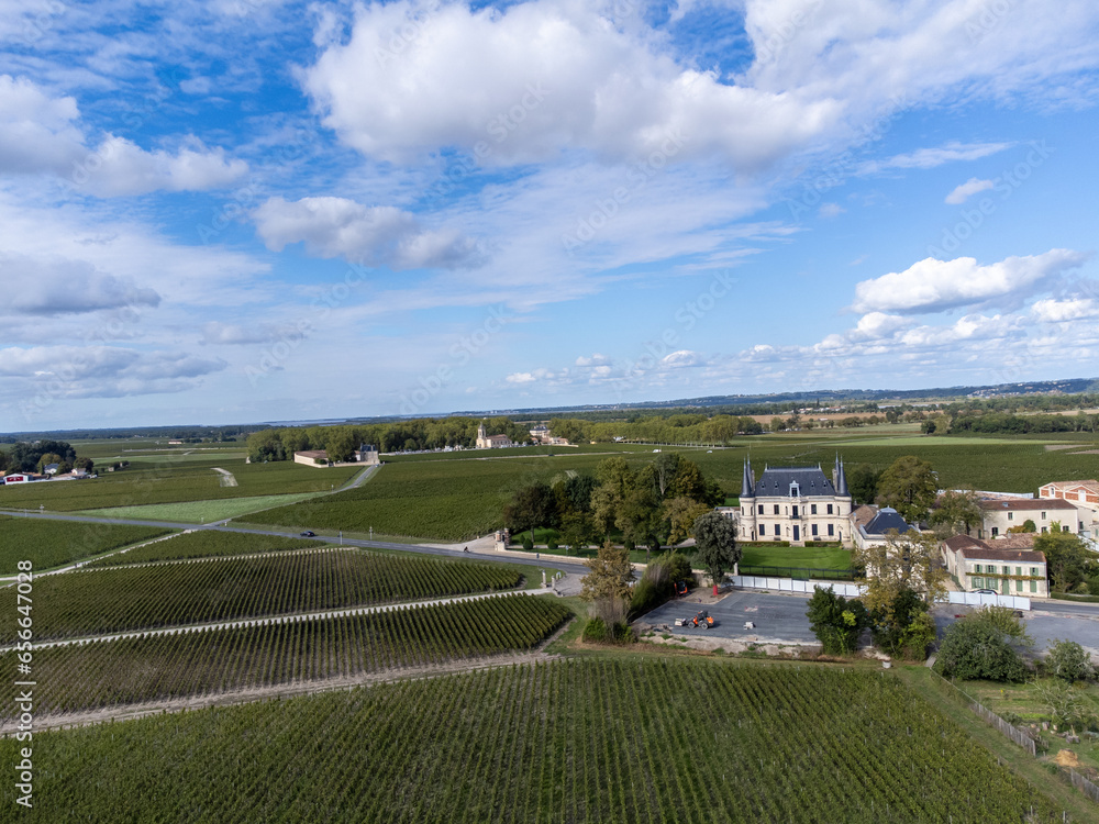 Aerial view on left bank of Gironde Estuary with green vineyards with red Cabernet Sauvignon grape variety of famous Haut-Medoc red wine making region in Bordeaux, France