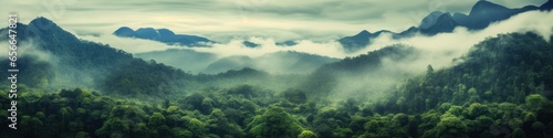 Foggy landscape in the jungle. Fog and cloud mountain tropic valley landscape. aerial view  wide misty panorama  Generative AI