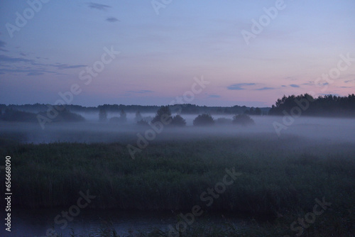 Foggy landscape late at night in a summer field. The forest is in a haze after the rain. Night forest and field.