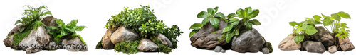 Large rocks and stones with plants and foliage around, green nature, isolated on transparent background generative ai