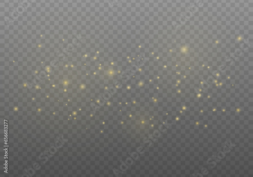 Golden rays with flying dust and glowing particles. Vector sparkles on a transparent background. Sparkling magical dust particles.
