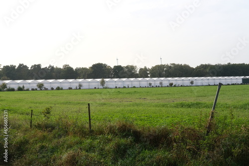 Some greenhouses near Dinslaken. Germany - October 2nd, 2023: photo