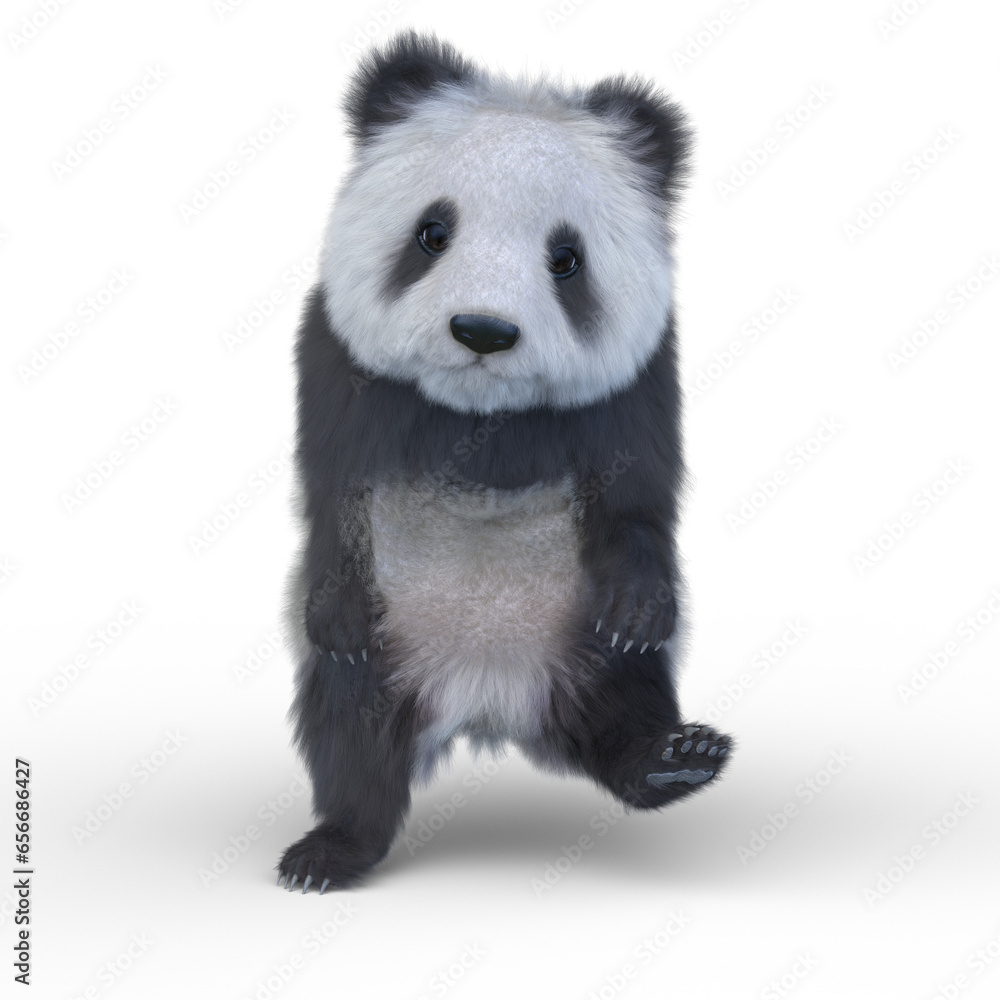 Obraz premium ジャイアントパンダ