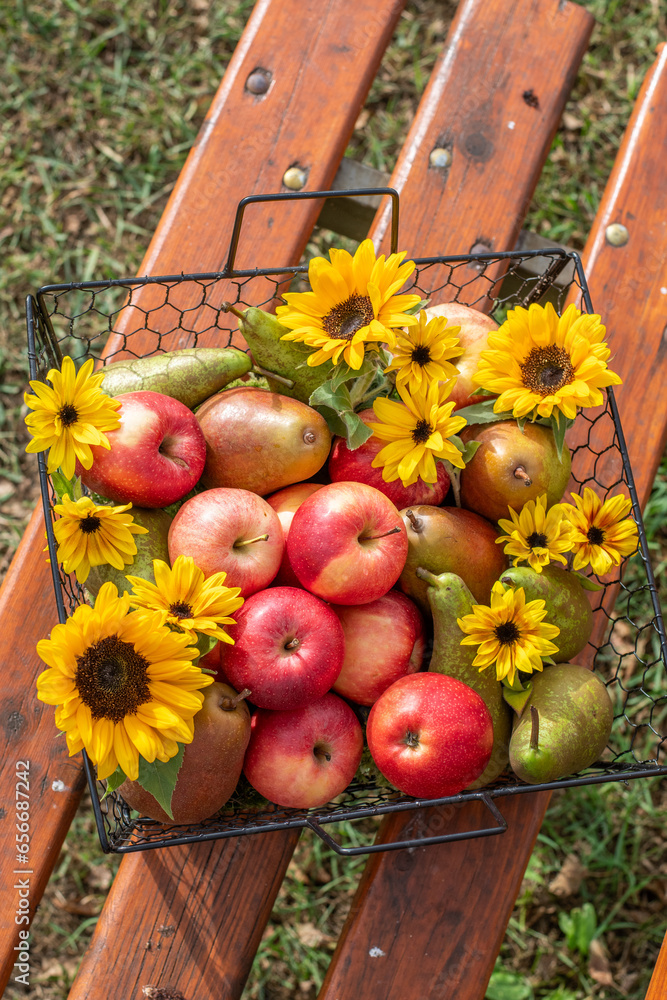 Korb aus Metall gefüllt mit Äpfeln und Birnen dekoriert mit ...