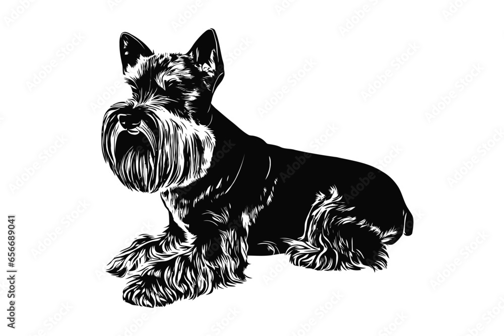 Obraz premium Cesky Terrier Delight: A Vector Study of a Playful Cesky Terrier