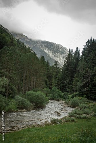 mountain river surrounded by mountain pines in a cloudy day photo