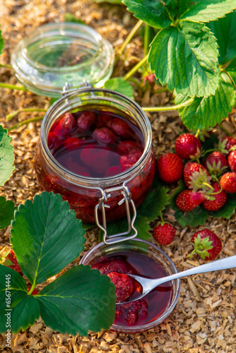 Strawberry jam in the garden. Selective focus.