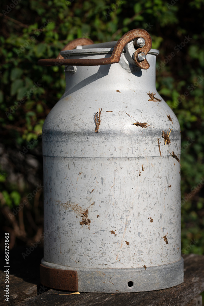 Obraz premium Close-up of an old metal milk can. The jug is outdoors in Bavaria and is partially soiled with manure. In the background a green hedge. The lid is closed.