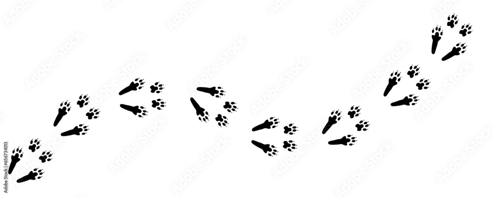 Rabbit or hare tracks. Path footprints of Rabbit, hare, bunny or pika. Rabbit paws. Silhouette. Black Vector isolated on white. Diagonal track. Pet shop, print, textile, game, postcard, zoo, clothes