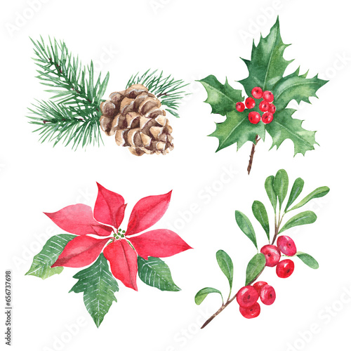 Set of winter plants: forest pine branches with cone, red poinsettia, holly with red berries, cowberry, lingonberry branch. Symbols of the New year and Christmas. Watercolor hand painted illustration
