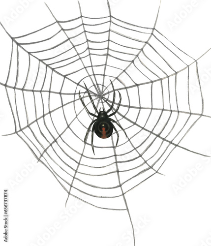 Watercolor illustration of a web with a black widow spider. Isolated on transparent background hand drawn
