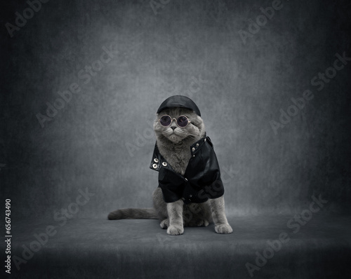 Brutal British cat on gray background with copy space. Biker cat in black leather jacket, cap and sunglasses. Rock style. Funny cat in clothes.