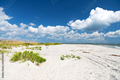 Sand dunes with grass and a beach on the Atlantic Ocean in North Carolina.