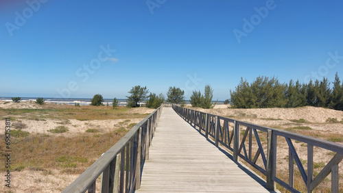 wooden bridge in the forest