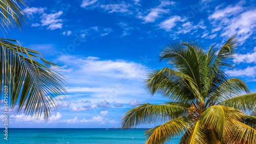 Seven Mile Beach in Grand Cayman  Cayman Islands  Features azure blue sky  crystal-clear waters  pristine white sand  and coconut tree branches. Ideal for Caribbean vacations  tropical paradises  and 