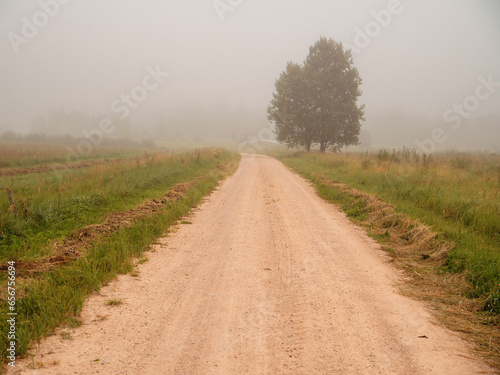 Small narrow country road by agriculture field and trees at sunrise. Fog over grass in the background. Calm and relaxed mood. Nobody. Stunning nature scene.