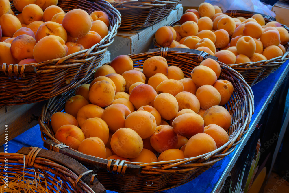 New harvest of fresh ripe sweet yellow-red apricots in Provence, France New harvest of fresh ripe sweet yellow-red apricots in Provence, France