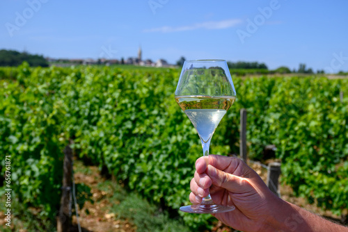 Glass of white wine from vineyards of Pouilly-Fume appelation, near Pouilly-sur-Loire, Burgundy, France photo