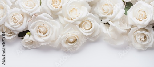 Background of white roses © 2rogan