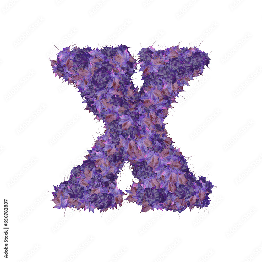 Symbol from autumn purple leaves. letter x Symbol from autumn purple leaves. letter x