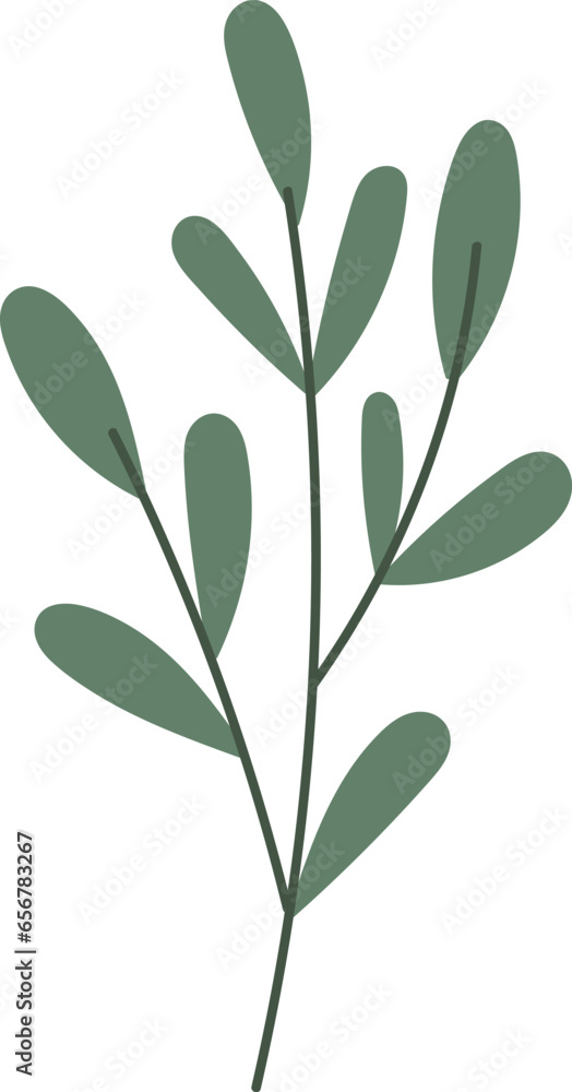 Herbal Leaves Branch Herbal Leaves Branch