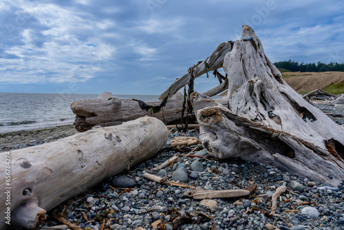 A Large Piece Of Driftwood Sits On A Beautiful Sunny Beach