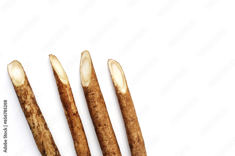 Burdock Root (Gobo) on white background. Burdock Root (Gobo) on white background.